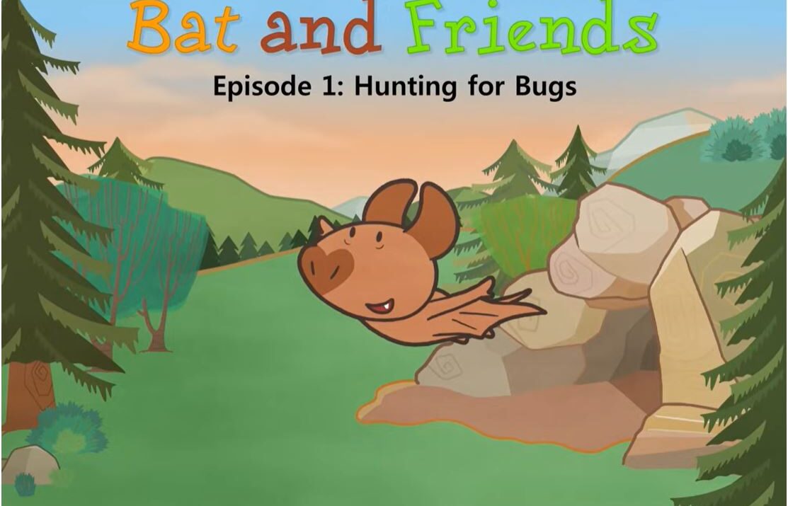 Bat and Friends 1 | Hunting for Bugs