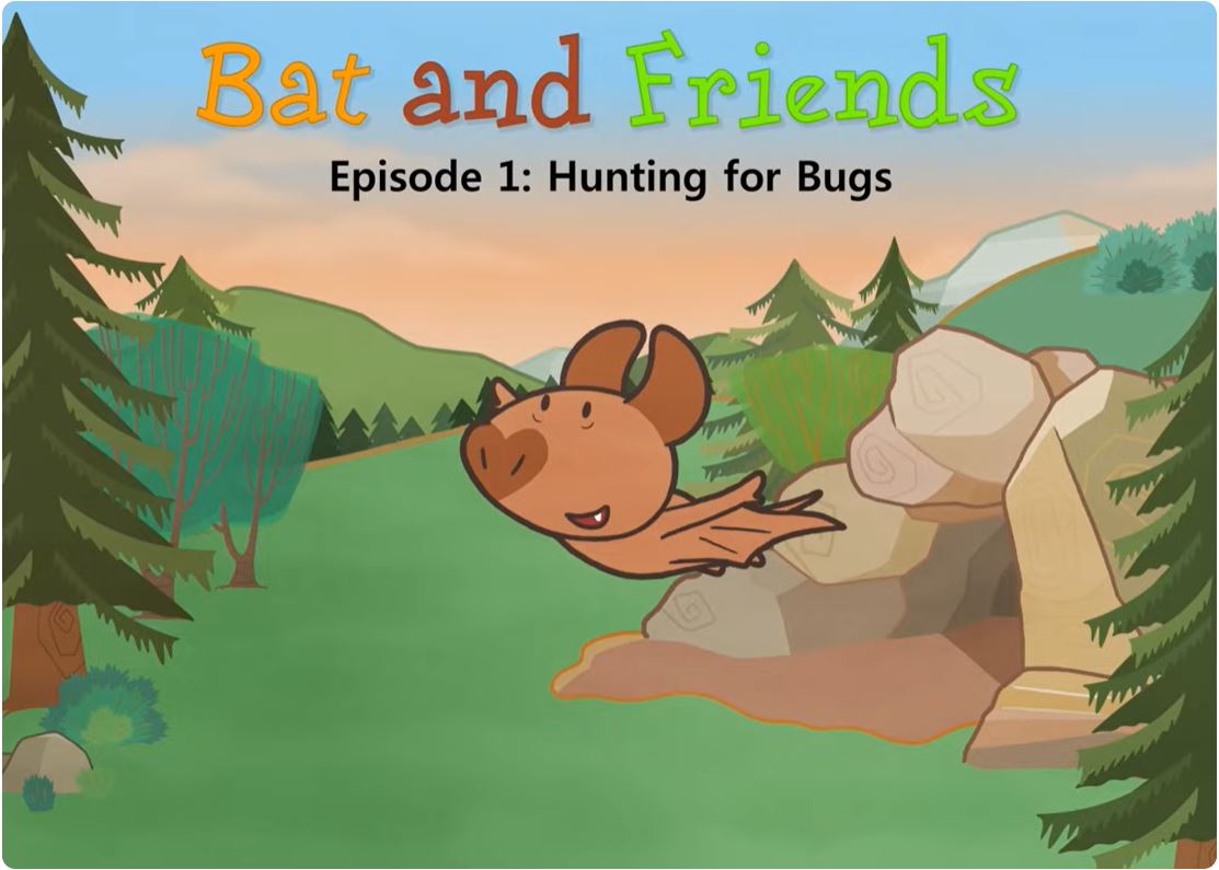 Bat and Friends 1 | Hunting for Bugs